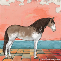 Horse Color:White Spotted Liver Red Dun 