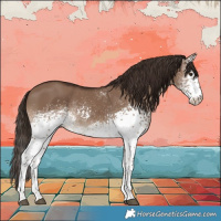 Horse Color:White Spotted Liver Red Dun 