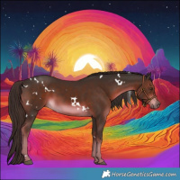 Horse Color:White Spotted Liver Chestnut 