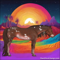 Horse Color:White Spotted Liver Chestnut 