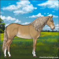 Horse Color:Chocolate Palomino Dun Tobiano
