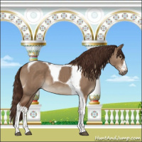 Horse Color:Liver Red Dun Tobiano