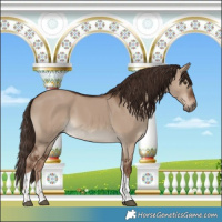Horse Color:Liver Red Dun Tobiano 