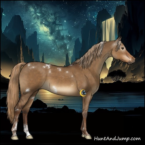 Horse Color:Gray White Spotted Liver Red Dun Tobiano