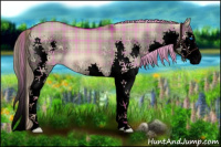 Horse Color:Void Plaid  Liver Red Dun Splash 