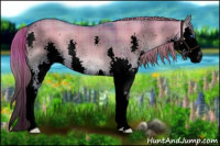 Horse Color:Void Watercolor Plaid  Liver Red Dun Onyx Splash 