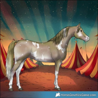 Horse Color:Watercolor White Spotted Liver Red Onyx Sabino Brindle 