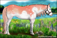 Horse Color:Watercolor White Spotted Chocolate Palomino Onyx Splash 