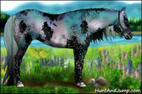 Horse Color:Void Watercolor White Spotted Liver Red Onyx Splash Tobiano 