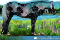 Horse Color:Void Watercolor White Spotted Liver Red Onyx Splash Tobiano 