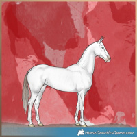 Horse Color:Brown Roan Pearl Frame Appaloosa