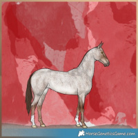 Horse Color:Liver Red Dun Roan Brindle 