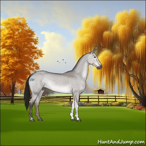 Horse Color:Gray Platinum Bay Dun Tobiano Rabicano 