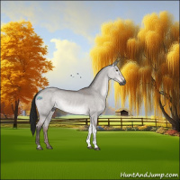 Horse Color:Gray Platinum Bay Dun Tobiano Rabicano