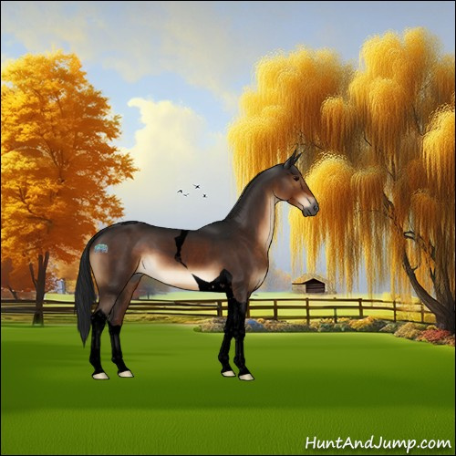 Horse Color:Gray Void Brown Tobiano