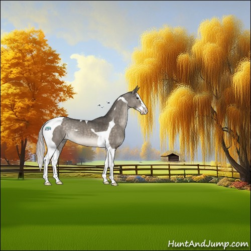Horse Color:Silver Brown Dun Splash Tobiano Rabicano