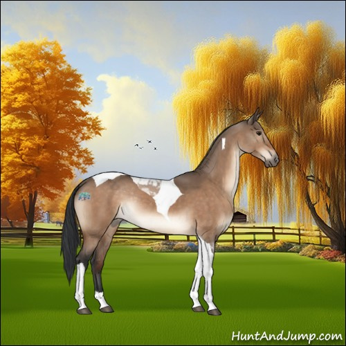 Horse Color:Brown Dun Tobiano Rabicano 