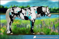 Horse Color:Plaid White Spotted Liver Red Onyx