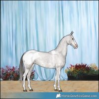 Horse Color:Liver Red Dun Sabino Tobiano Appaloosa Brindle 