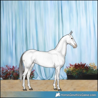 Horse Color:Liver Red Dun Sabino Tobiano Snowcap Brindle 