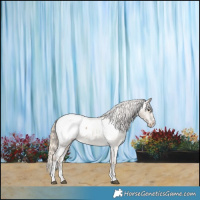 Horse Color:Chocolate Palomino Roan Dun Sabino Snowcap 