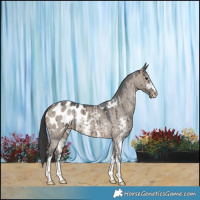 Horse Color:Brown Dun Sabino Blanket Brindle 