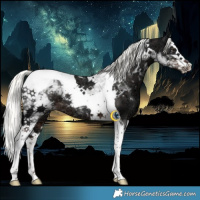 Horse Color:Liver Chestnut Ice Mushroom Splash Tobiano Rabicano 