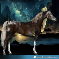 Horse Color:Gray Midnight Chocolate Palomino Mushroom Tobiano Rabicano 