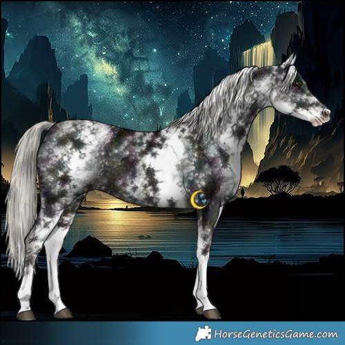 Horse Color:White Spotted Midnight Liver Chestnut Mushroom Rabicano 