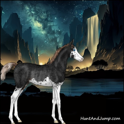 Horse Color:Liver Chestnut Ice Splash Rabicano