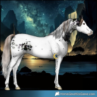 Horse Color:White Spotted Midnight Liver Chestnut Ice Splash Tobiano 