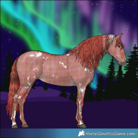 Horse Color:Watercolor Plaid  White Spotted Liver Red Dun Brindle 