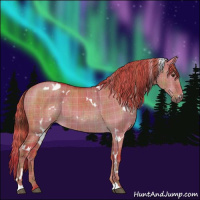 Horse Color:Watercolor Plaid  White Spotted Liver Red Dun Brindle 