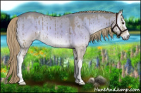 Horse Color:Watercolor White Spotted Liver Red Dun Onyx Brindle 