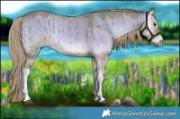 Horse Color:Watercolor White Spotted Liver Red Dun Onyx Brindle 