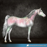 Horse Color:Watercolor White Spotted Chocolate Palomino Onyx Sabino