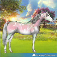 Horse Color:Watercolor White Spotted Chocolate Palomino Onyx Sabino 