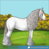 Horse Color:Bay Ice Sabino Splash Snowcap 
