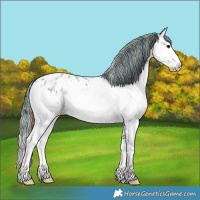 Horse Color:Plaid Bay Ice Sabino Splash Blanket Rabicano
