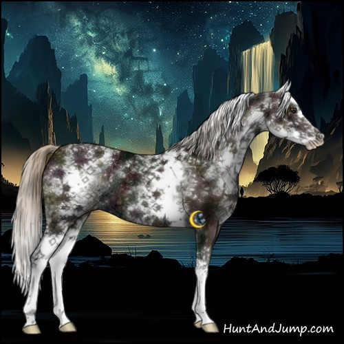 Horse Color:White Spotted Midnight Chocolate Palomino Ice Splash 