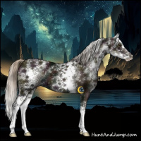Horse Color:White Spotted Midnight Chocolate Palomino Ice Splash