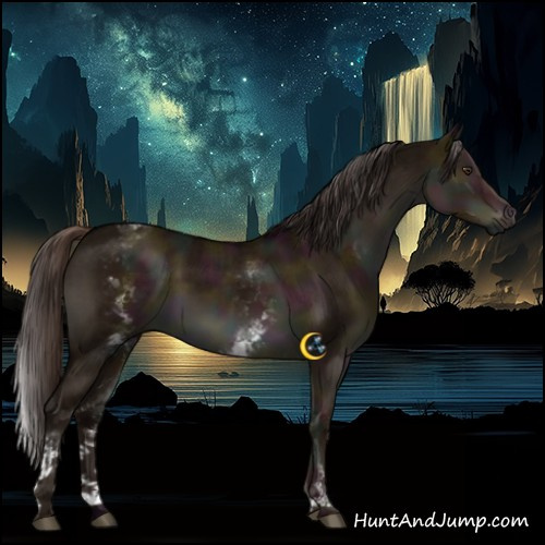 Horse Color:White Spotted Midnight Liver Red Dun Rabicano Brindle