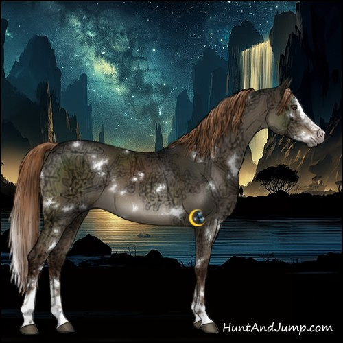 Horse Color:Gray White Spotted Liver Red Dun Ice Splash Brindle