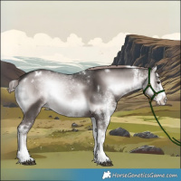Horse Color:Platinum White Spotted Liver Red Onyx 