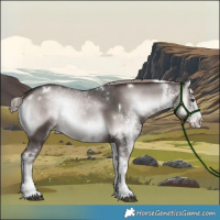 Horse Color:Platinum White Spotted Liver Red Onyx