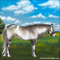 Horse Color:Platinum White Spotted Liver Red Onyx 