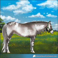 Horse Color:Platinum White Spotted Liver Red Onyx 
