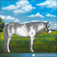 Horse Color:Platinum White Spotted Liver Chestnut Sabino 