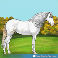 Horse Color:Plaid  Smoky Grullo Ice Splash Tobiano Appaloosa 