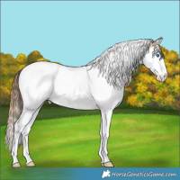 Horse Color:Plaid Bay Ice Splash Tobiano Appaloosa